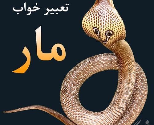 دیدن عکس حضرت علی در خواب