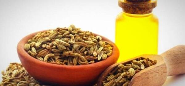 عکس روغن رازیانه