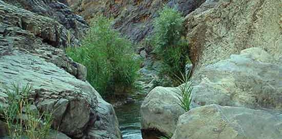 عکس طبیعت خلیل آباد
