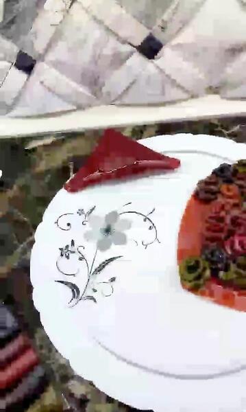 عکس لواشک فیک