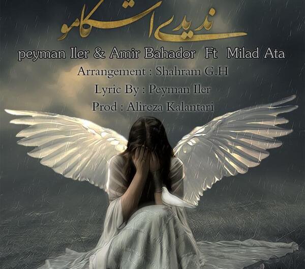 عکس پیمان ایلر