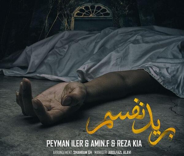 عکس پیمان ایلر