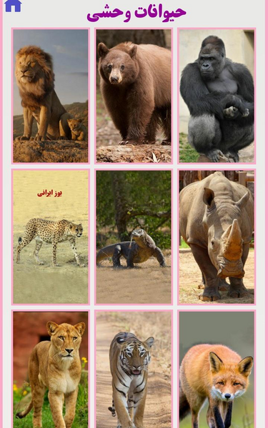 عکس حیوانات اهلی