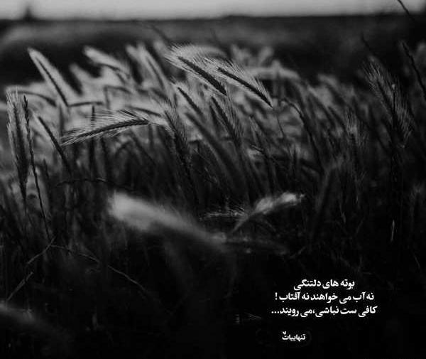 عکس مفهومی تنهایی