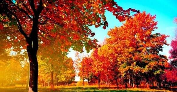 عکس طبیعت پاییزی برای پروفایل