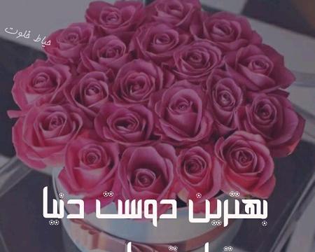 عکس تولدت مبارک رفیق گلم زهرا