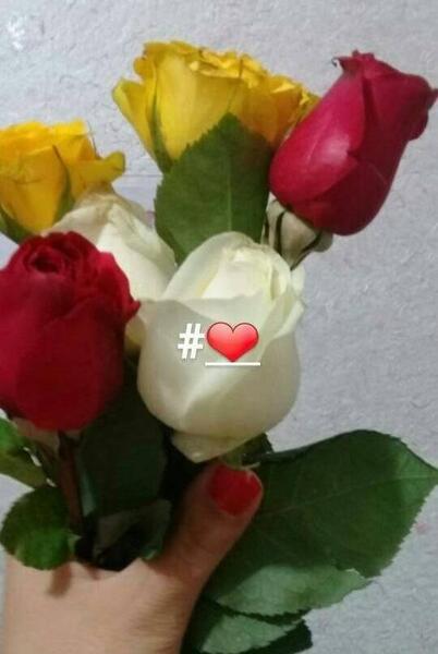 عکس گل رز فیک