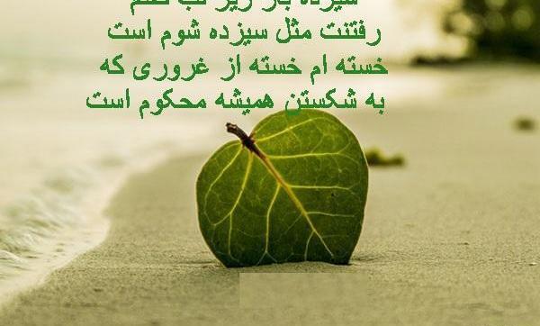 عکس تنهایی سیزده بدر