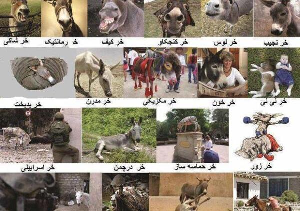 عکس نوشته طنز قزوینی