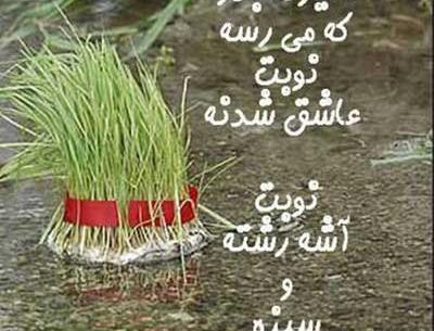 عکس آش رشته سیزده بدر