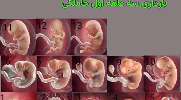 عکس بارداری ماه اول