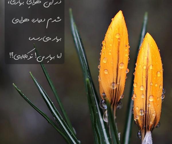 عکس نوشته هوای بهاری