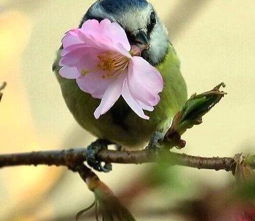 عکس شعر زیبا برای استاتوس واتساپ