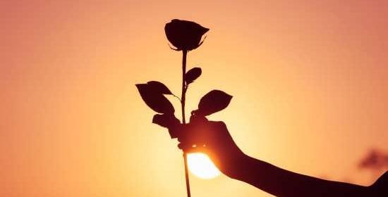 عکس نوشته گل هدیه دادن
