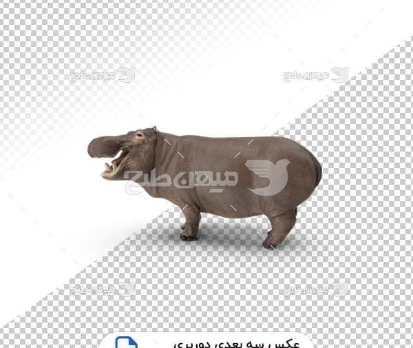 عکس اسب آبی اسباب بازی
