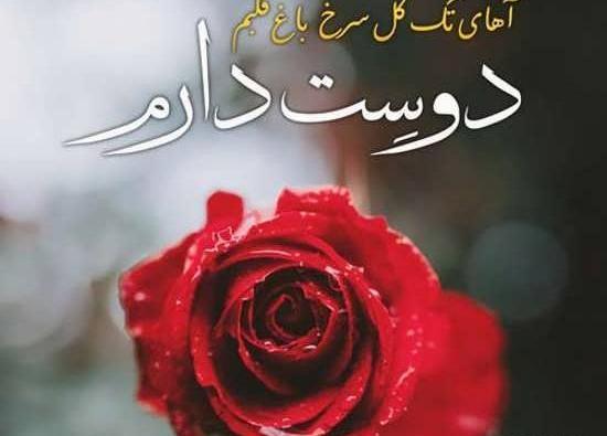 عکس نوشته گلم دوستت دارم