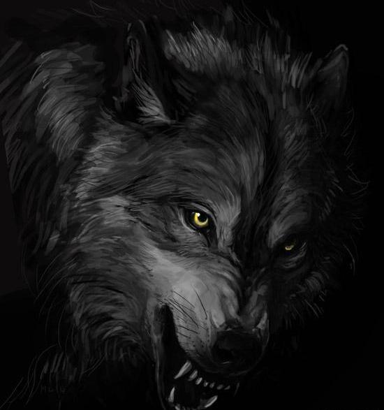 عکس گرگ چت