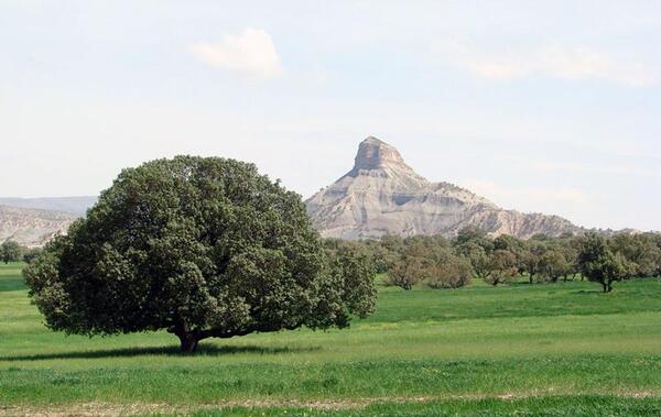 عکس از طبیعت صالح آباد