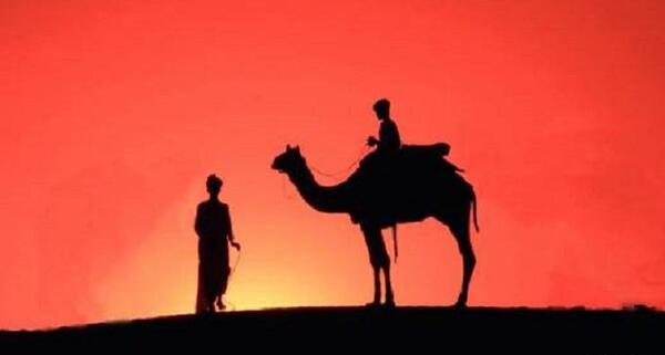 عکس ضرب المثل سواره خبر از حال پیاده ندارد