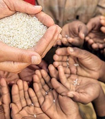 عکس ضرب المثل سواره خبر از حال پیاده ندارد