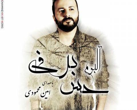 عکس امین محمودی