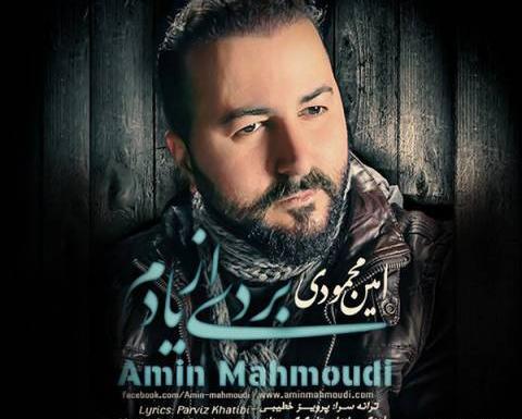 عکس امین محمودی