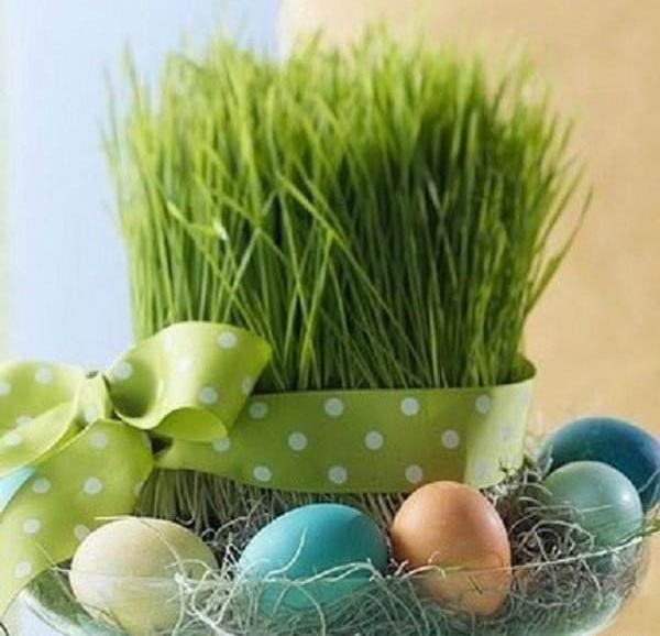 عکس سبزه عید زیبا