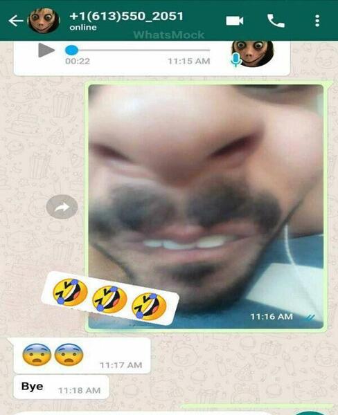 عکس مومو سگ