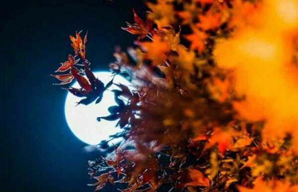 عکس نوشته خدا نگهدار