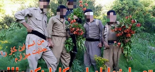 عکس گل لاله واژگون