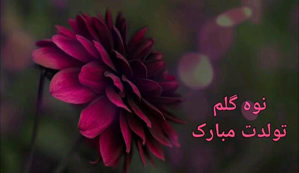 عکس تبریک تولد نوه پسر