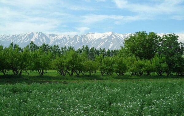 عکس تصاویر زیبای طبیعت نهاوند