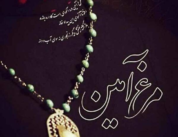 عکس نوشته مرغ آمین درد آلودیست