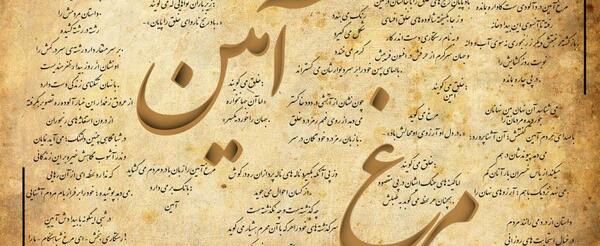 عکس نوشته مرغ آمین درد آلودیست