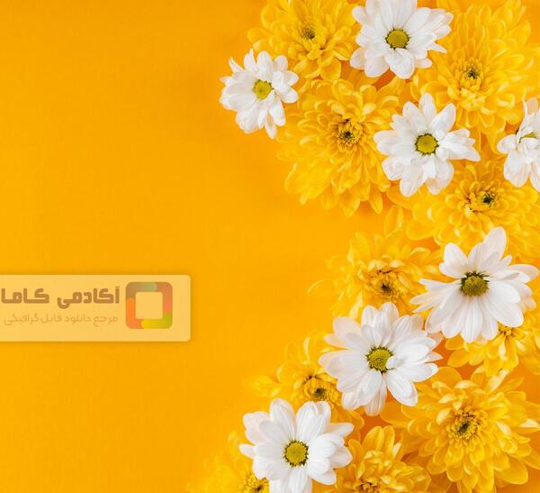 عکس بهاری زرد