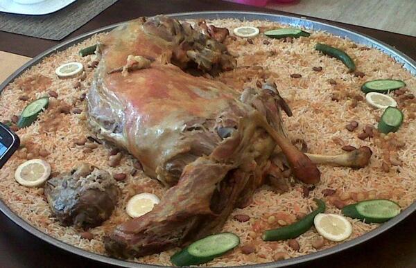 عکس شتر شکم پر