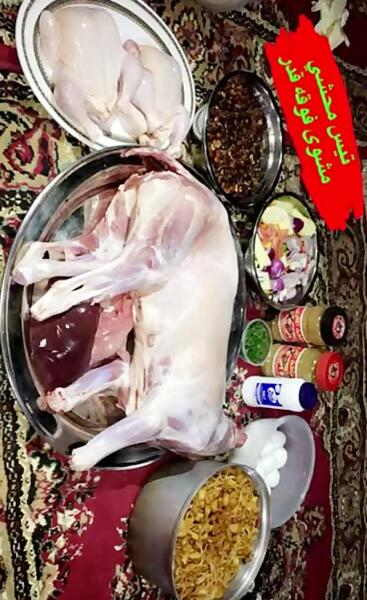 عکس شتر شکم پر