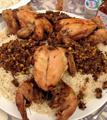 عکس شتر شکم پر