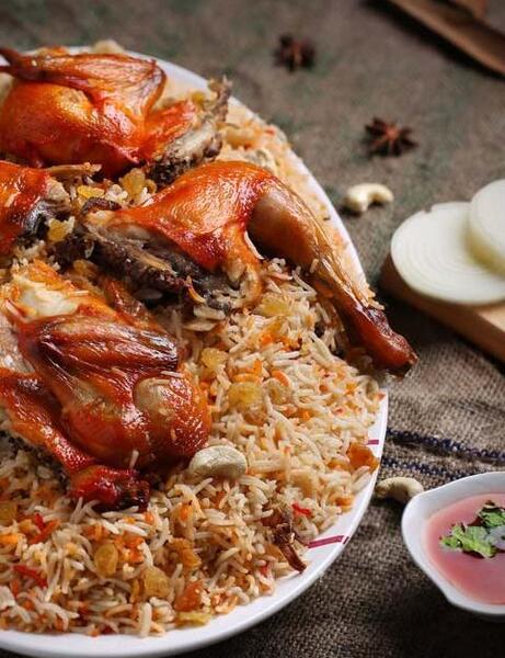 عکس شتر شکم پر