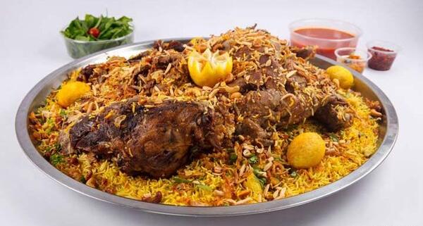 عکس شتر شکم پر