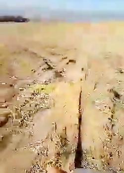 عکس گنج داریوش سوم