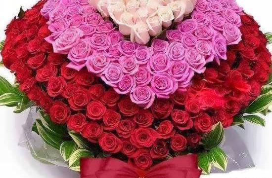 عکس قشنگ گل