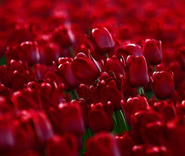 عکس طبیعت رویایی زیبا