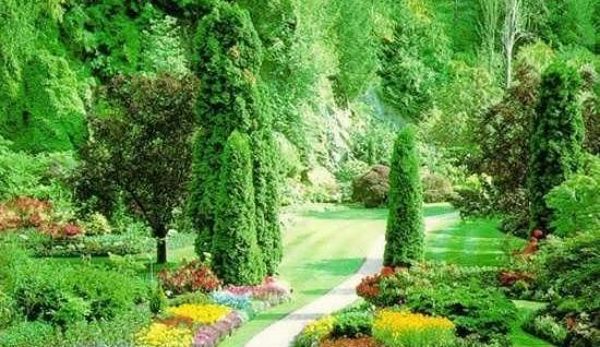 عکس طبیعت رویایی زیبا