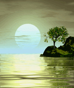 عکس صفحه گوشی از طبیعت