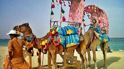 عکس شتر سواری در کیش