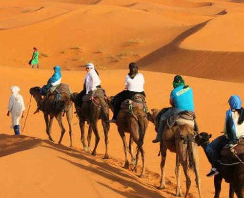 عکس شتر سواری در کیش