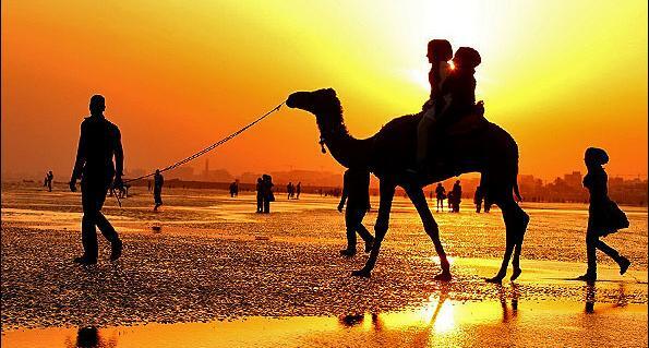 عکس شتر سواری در کیش