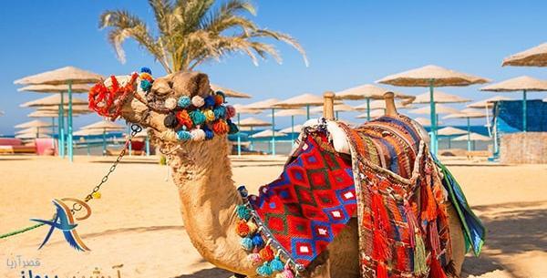 عکس شتر سواری در کیش