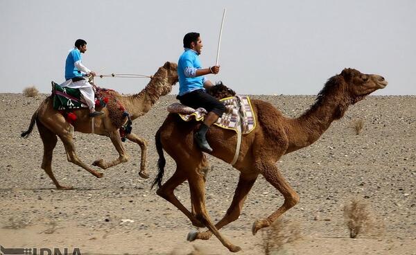 عکس شتر سواری در کیش